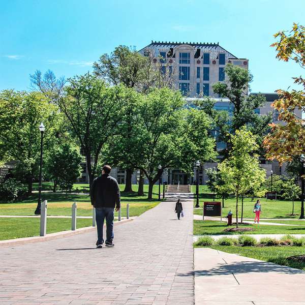 long sidewalk facing Thompson Library on The Oval