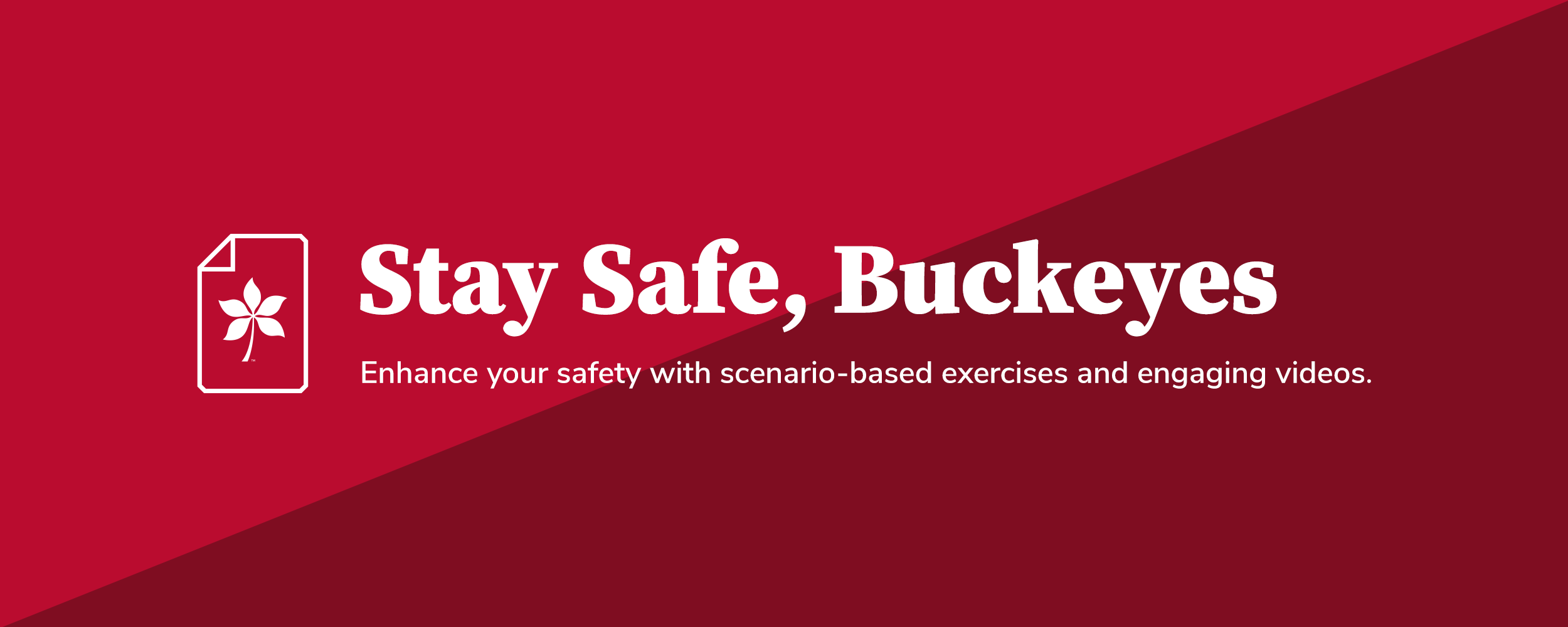 Stay Safe Buckeyes Web Banner