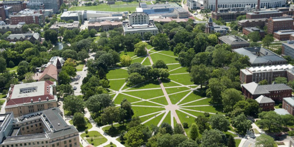 aerial of The Oval during the summer