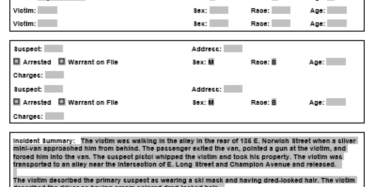 screenshot of the police report