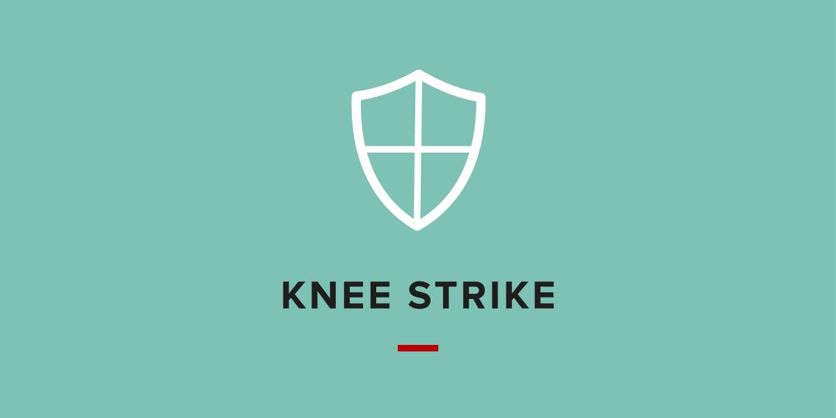 Icon for knee strike self defense video