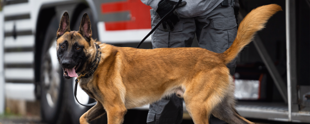 K9 officer stands in front of a bus