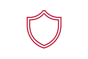 Icon of a shield