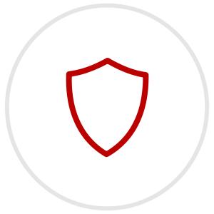 Icon of a shield
